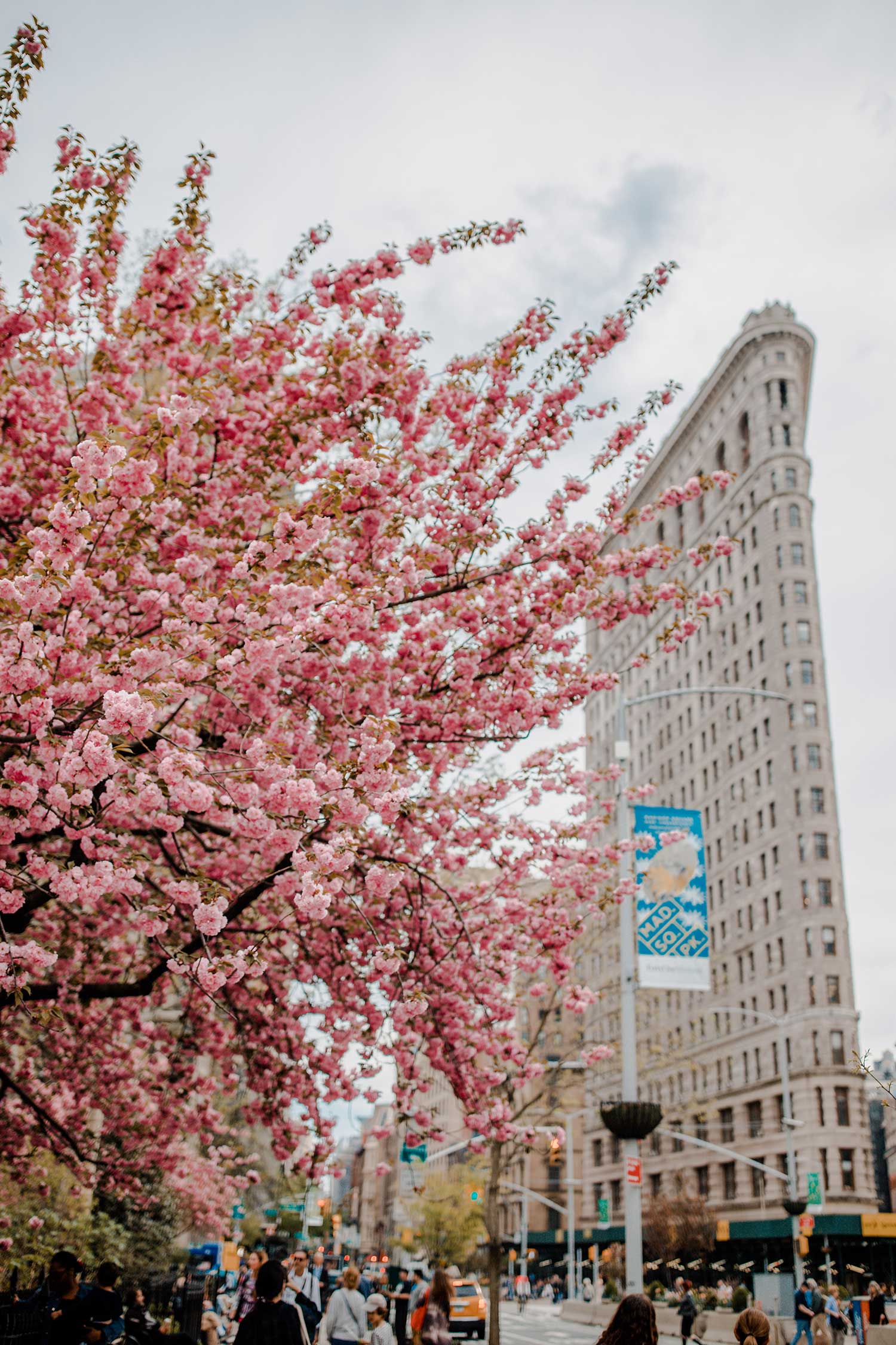6 Things to do in NYC During Spring | How to Spend Spring in NYC | NYC Spring Photography