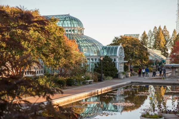 Fall in NYC: Cute Things to do this Autumn - Dana Berez