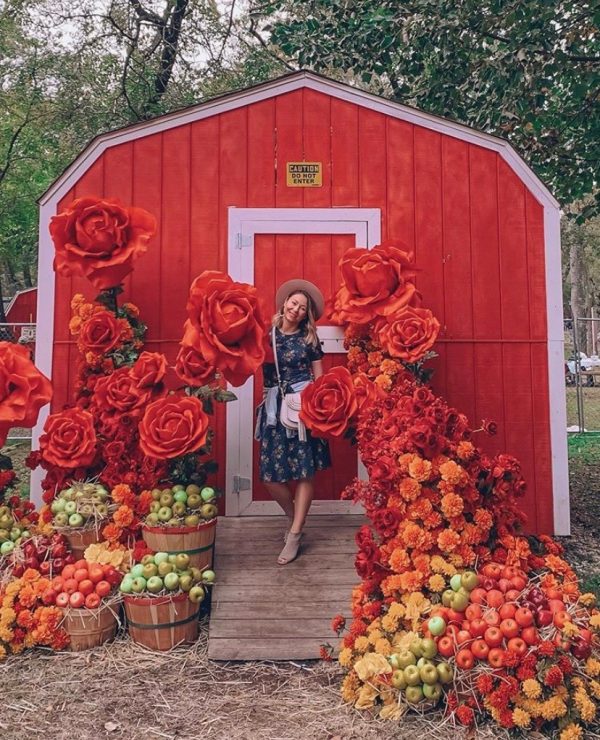 Fall in NYC: Cute Things to do this Autumn - Dana Berez