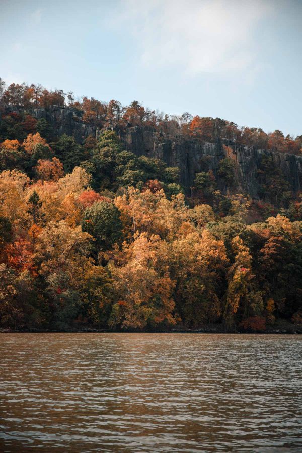 Fall in NYC: Cute Things to do this Autumn - Dana Berez