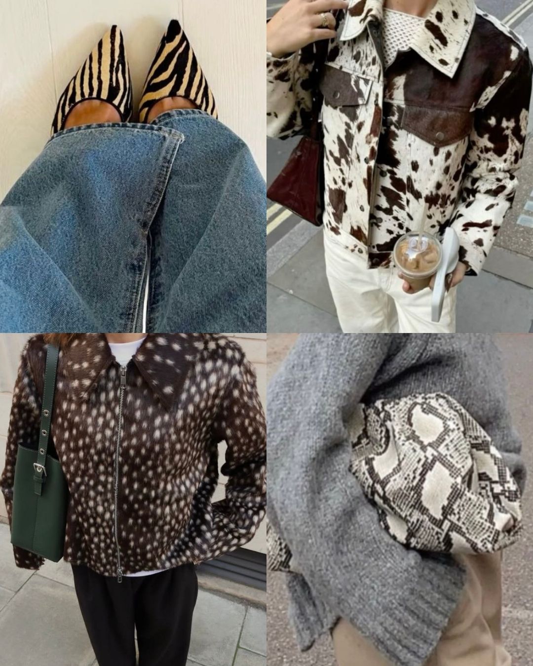 fall trends animal print